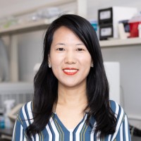 Li Sun