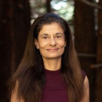 Shernaz Daver